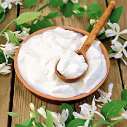 Package of Starter Cultures for Lactobacillus Salivarius and Lactobacillus Reuteri Yogurt.
